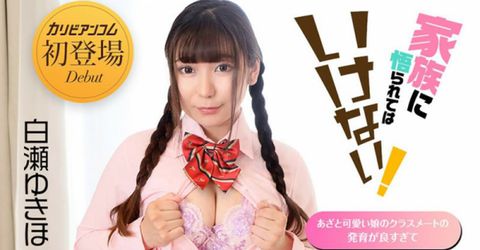 【无码】040122-001 家族に悟られてはいけない 〜あざと可愛い娘のクラスメートの発育が良すぎて〜 KM  - YELAI Home Make Videos[]